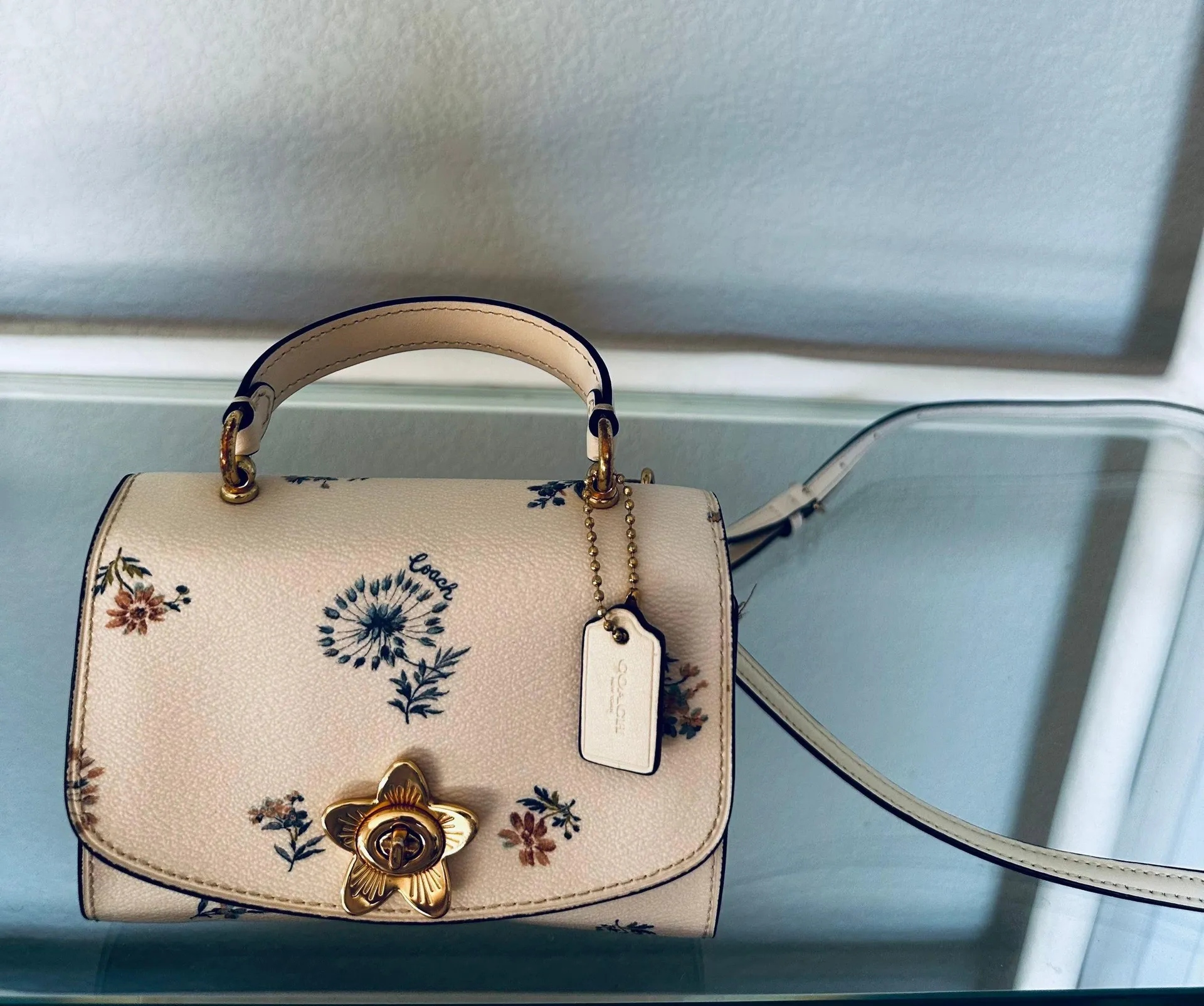 Micro Tilly Top Handle With Dandelion Floral Print Rare/sold Out Bag - Image 2