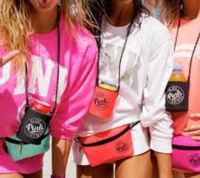 VS Pink Fanny Pack In Teal Color - Image 3