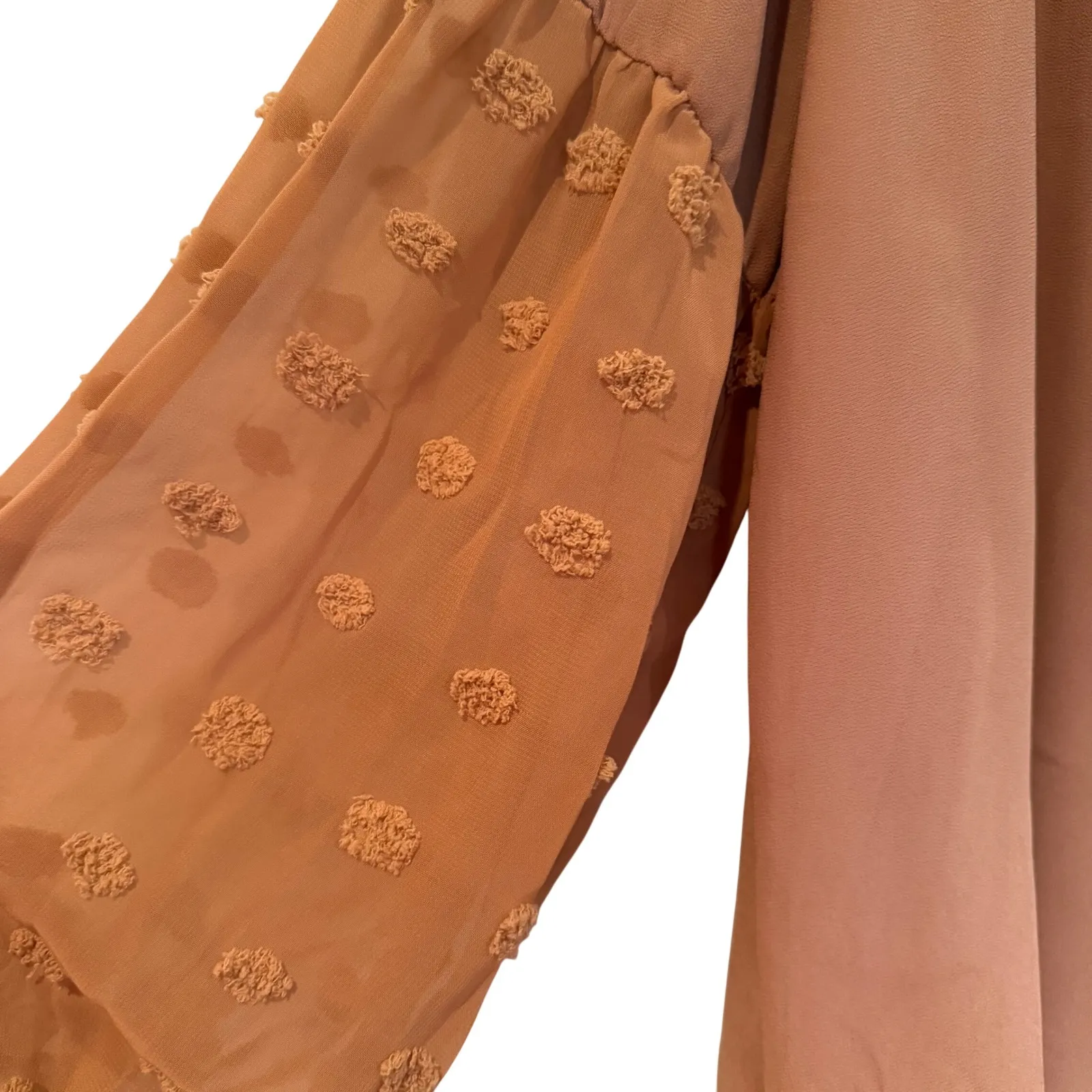 ANDTHEWHY Swiss Dot Balloon Sleeve Tie Neck Blouse Women's Large Tan Career Boho - Image 2