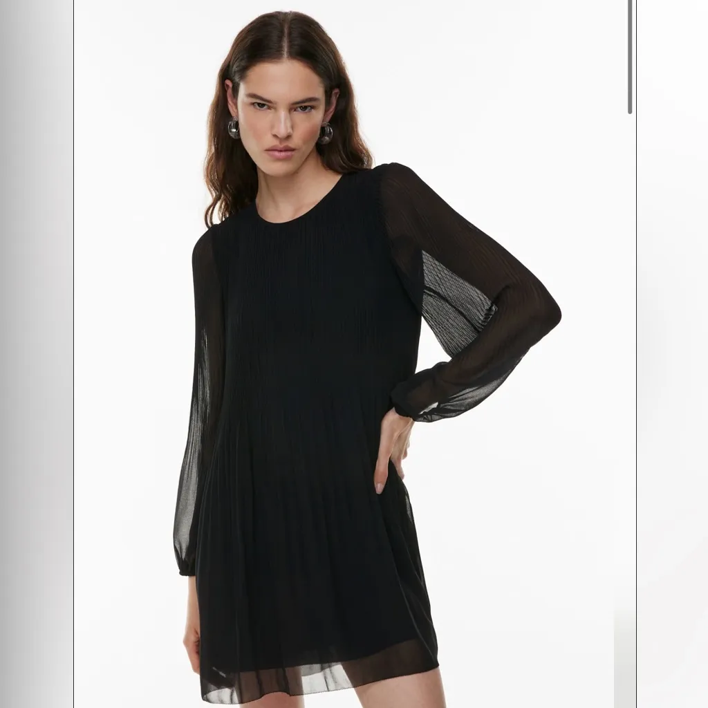 Aritzia Wilfred Pleated Chiffon Daydreamer Mini Dress Sz M - Image 2