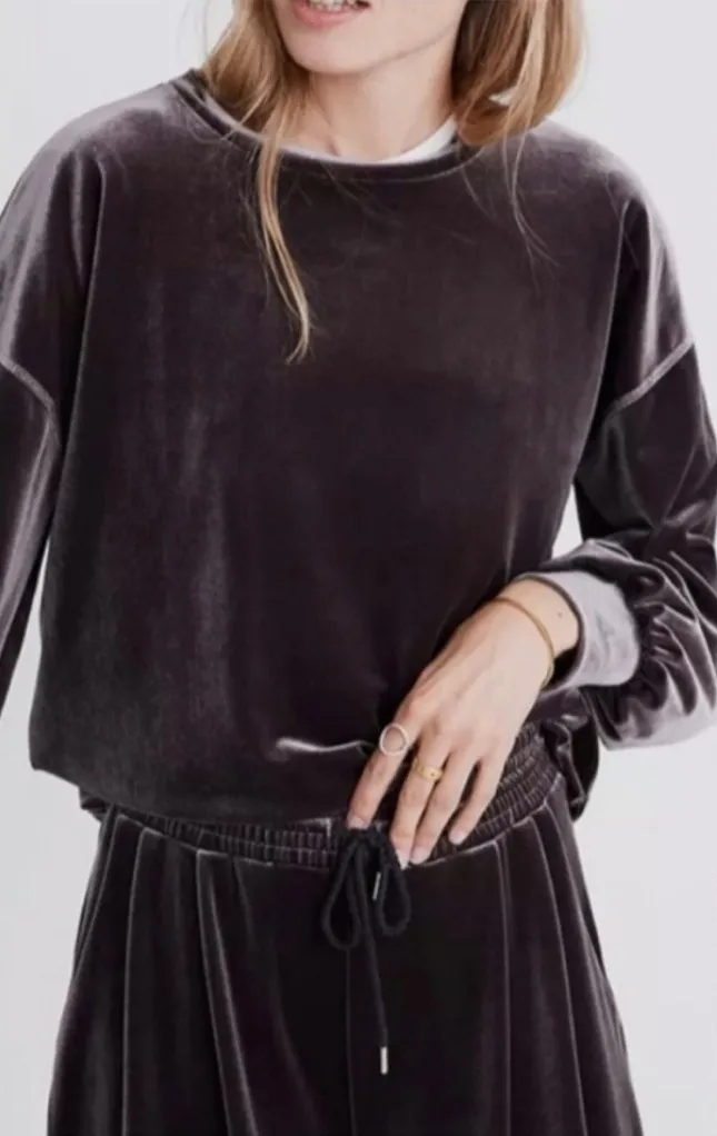 Madewell Dark Metal Velvet Balloon Sleeve Sweatshirt - Image 1