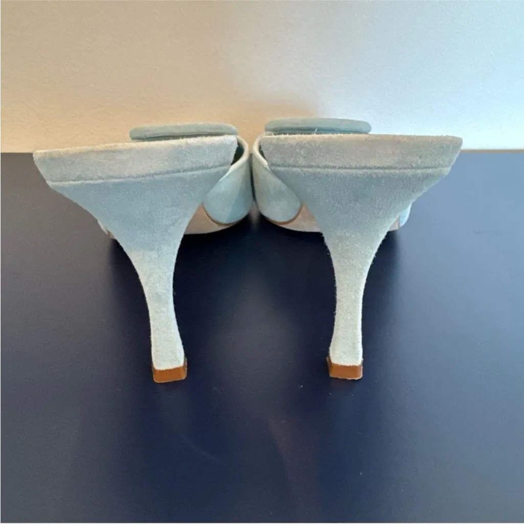 Manolo Blahnik Maysale Mule Buckle Light Blue Suede - Image 5