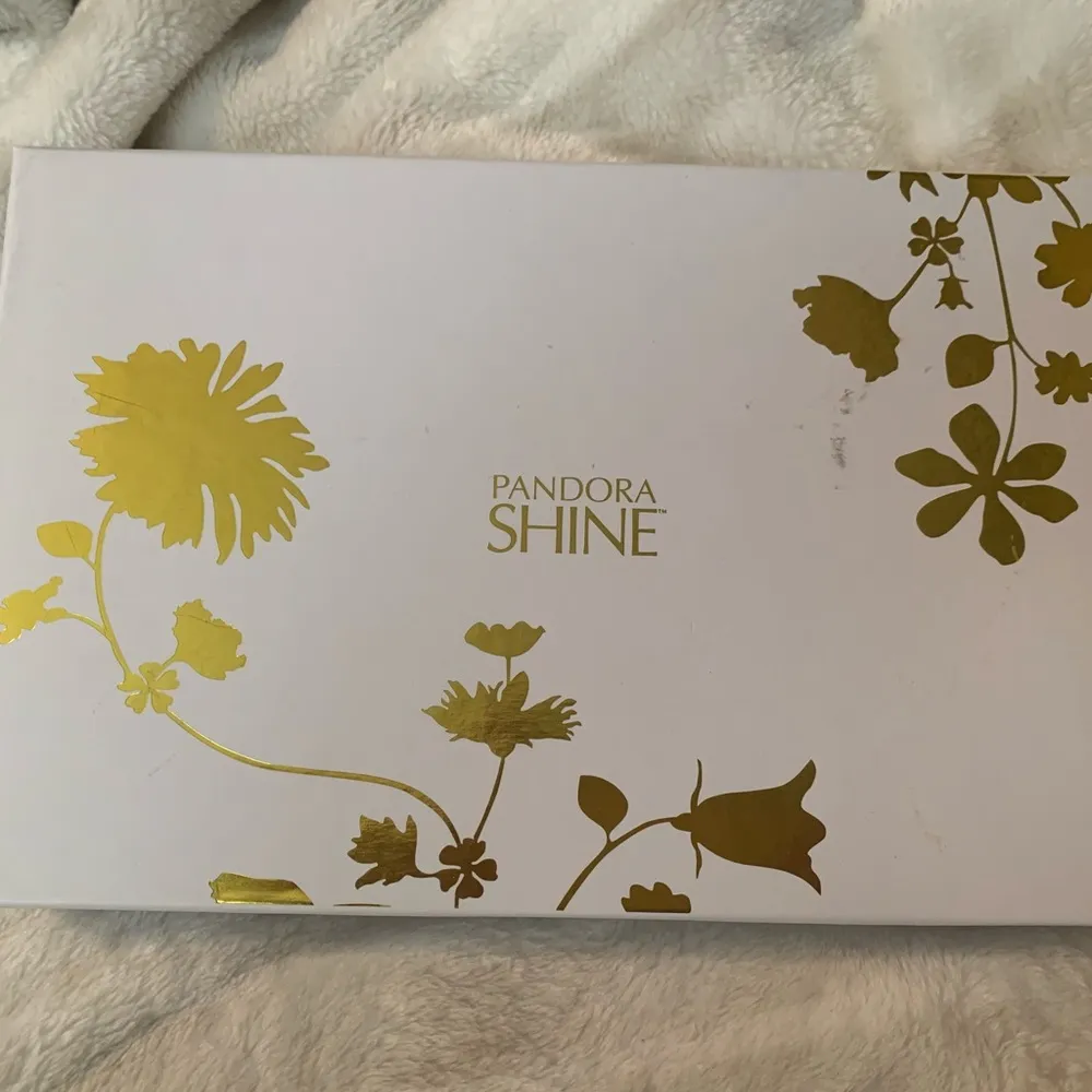 Pandora  shine clutch! Perfect for special occasions! - Image 2