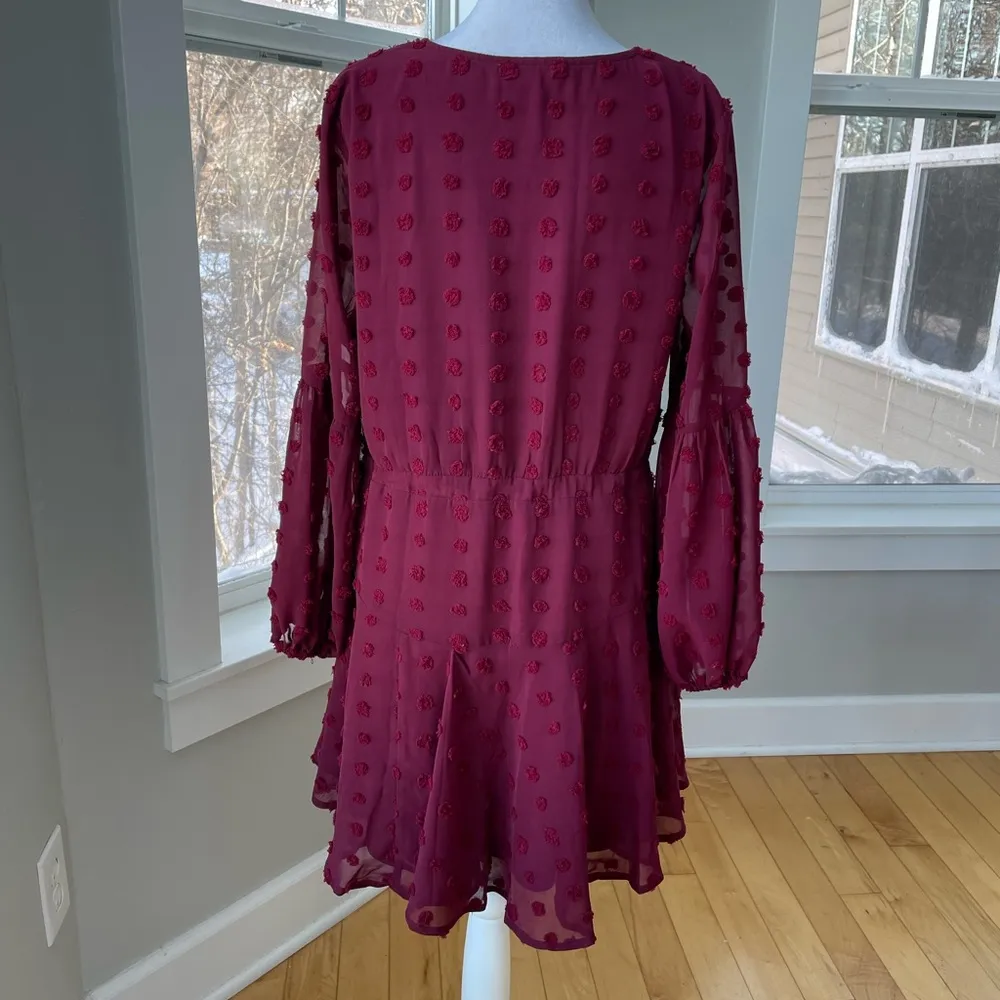 Entro Burgundy Sheer Long Sleeve V Neck Flounce Mini Dress Size Small - Image 3