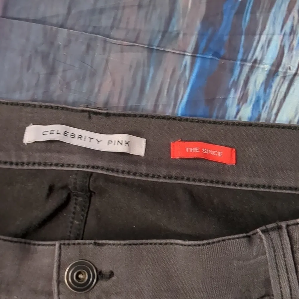 CELEBRITY pink the spice high rise skinny jeans size 24 - Image 3