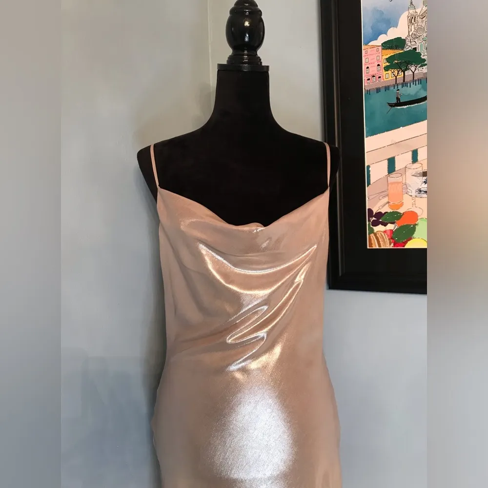 NWOT House of CB Champagne Silver Leia Backless Slip Dress Gown Sz M - Image 3