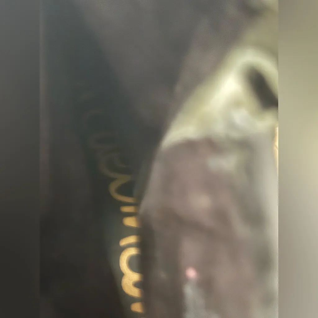 Sam Edelman Troy Leather Moto Boots 7.5 EUC Biker Dark Academia Whimsygoth - Image 8