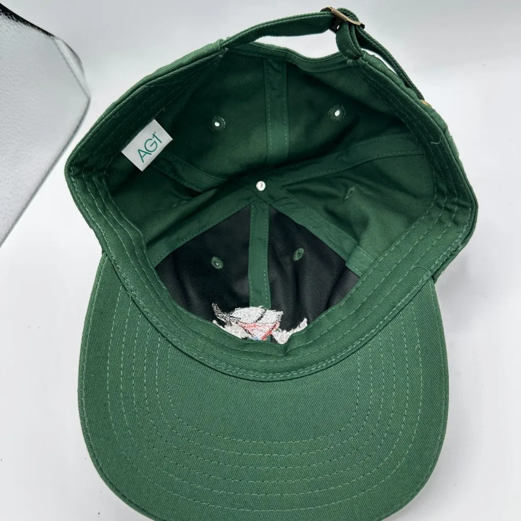 Early Bird AG1 Green Hat OSFM - Image 4