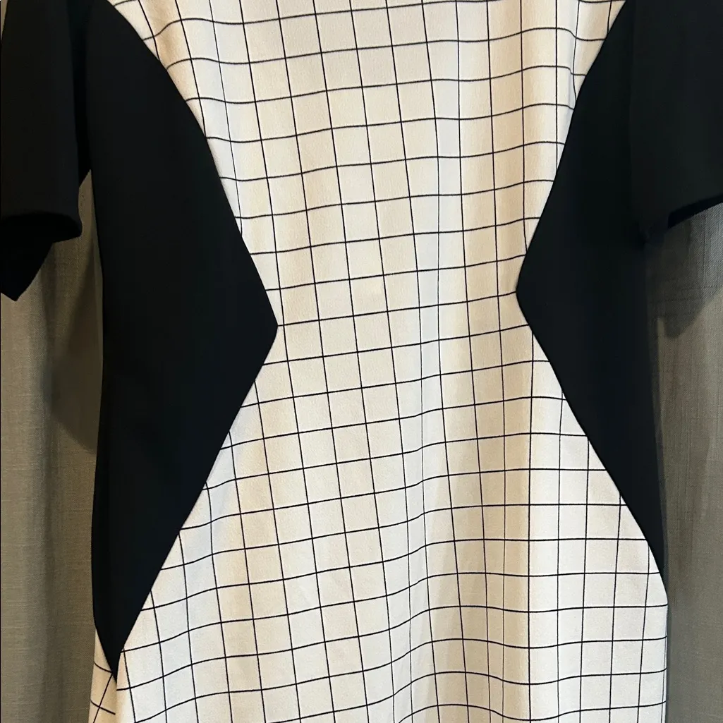 Janette Plus Black and White Checkered Mini Dress Size 3X - Image 3