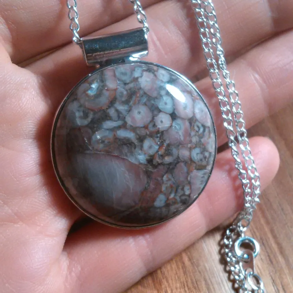 Insect Fossil Jasper Round Silvertone Pendant Necklace - Image 11