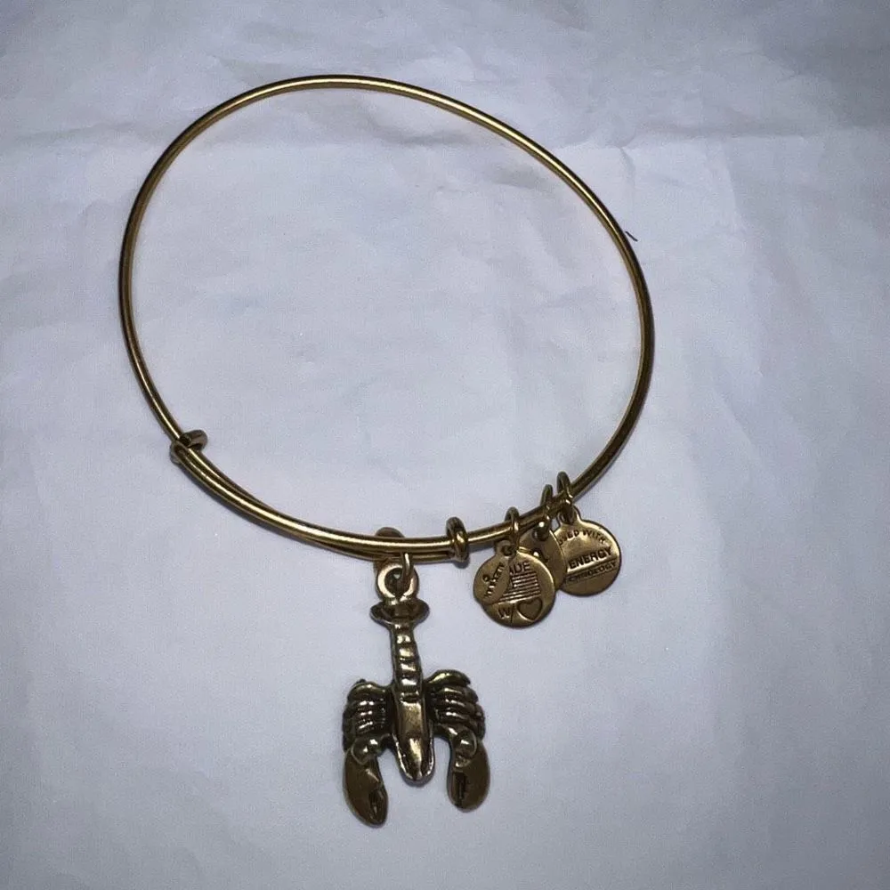 Alex and Ani Antique Gold Tone Lobster Charm Bangle Bracelet - Image 5