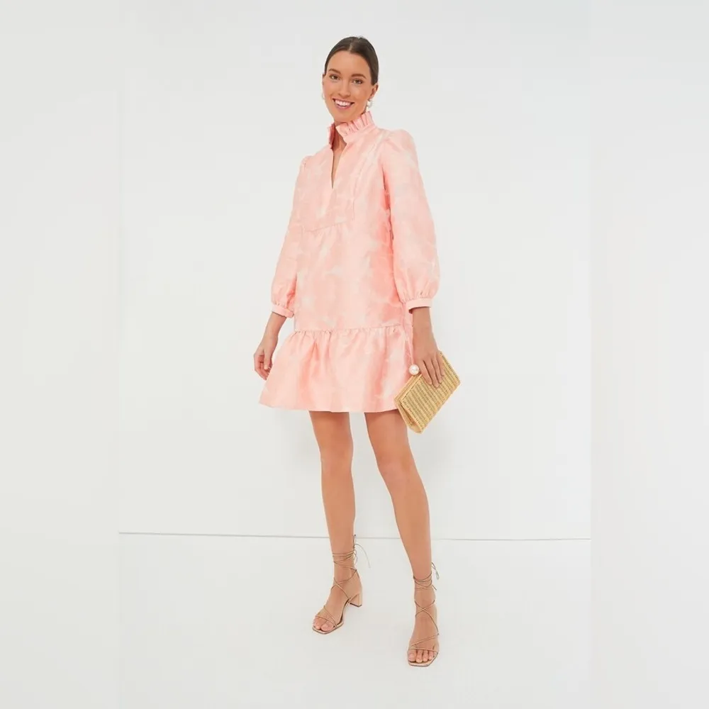 Tuckernuck Bellini Fil Coupe Palmerston Dress S NWT Pink Ruffle Party - Image 2