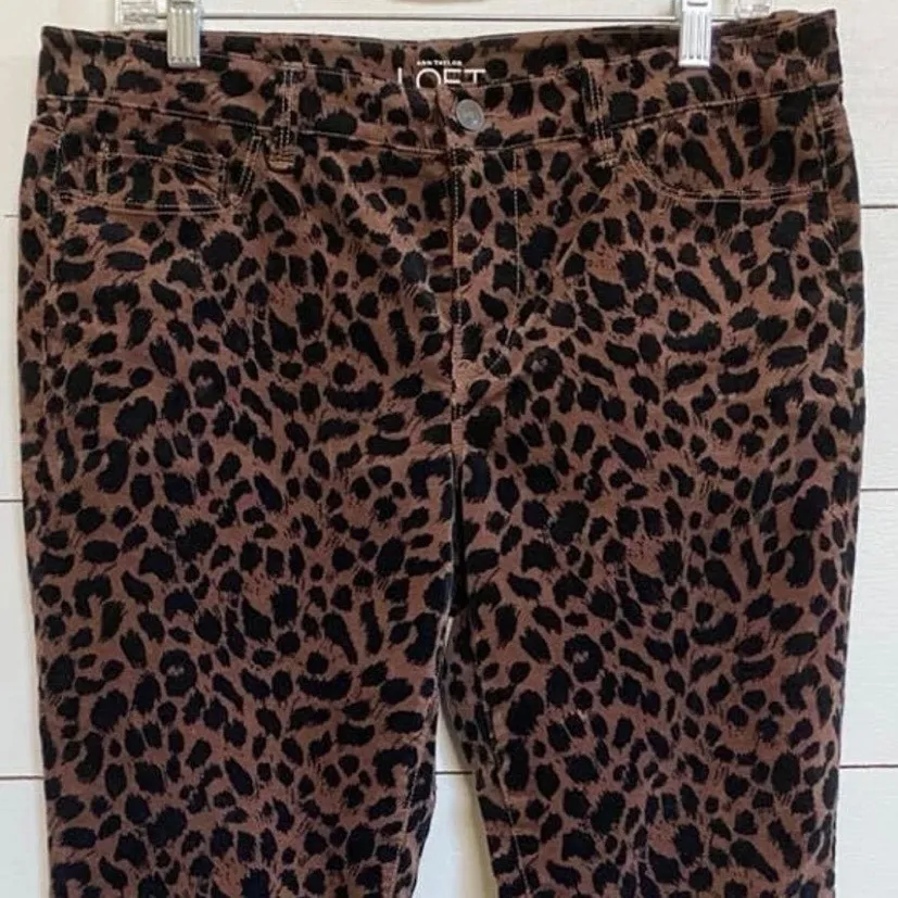 Ann Taylor LOFT Super Skinny Velvet Cheetah print pants 30/10P - Image 6