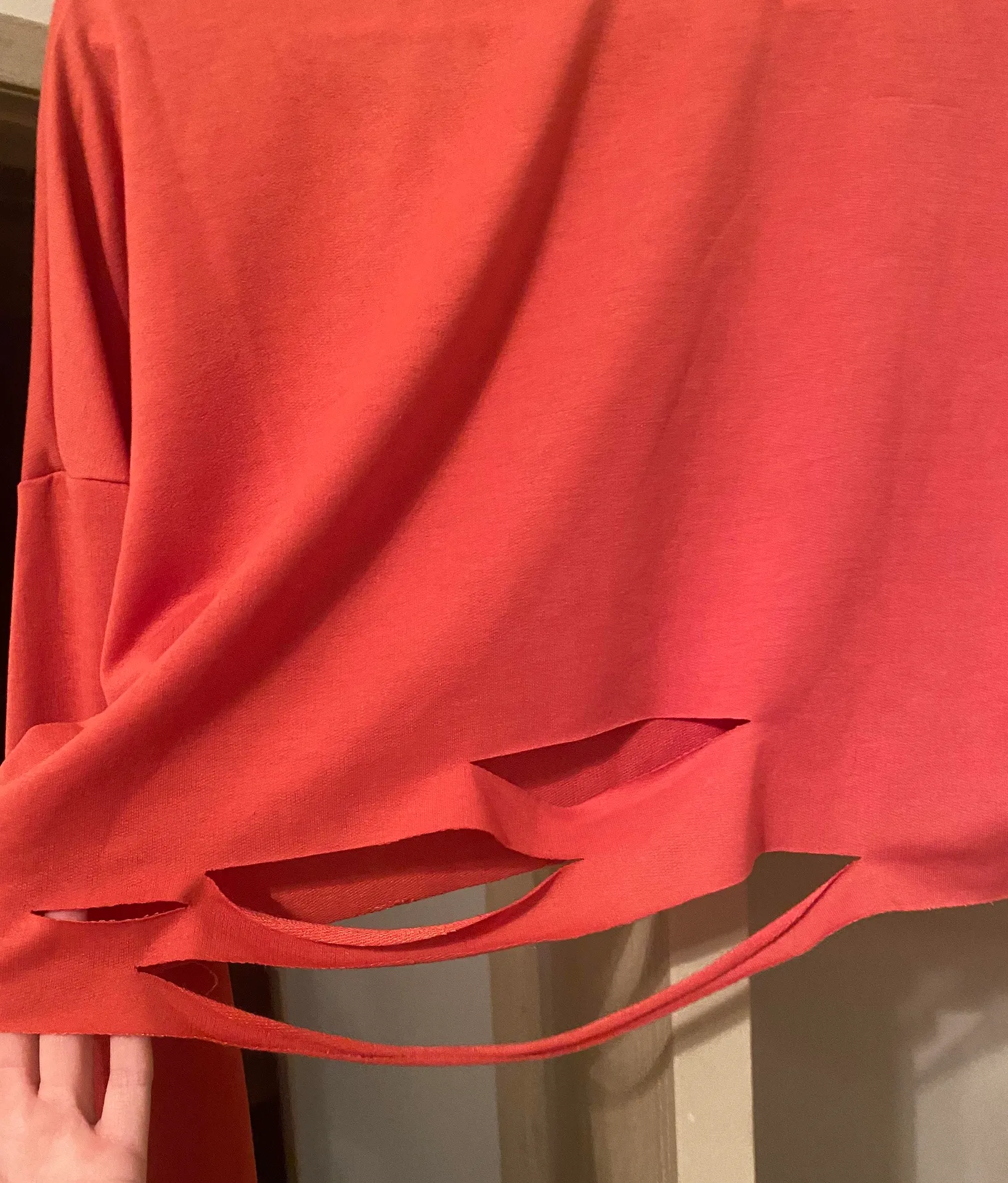 Amazon Croptop Sweatshirt - Image 3