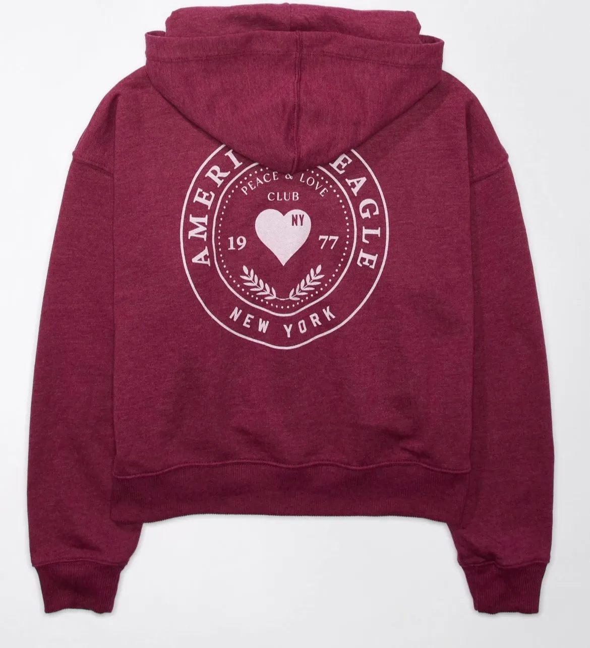 American Eagle Outfitters Hoodie - Image 4