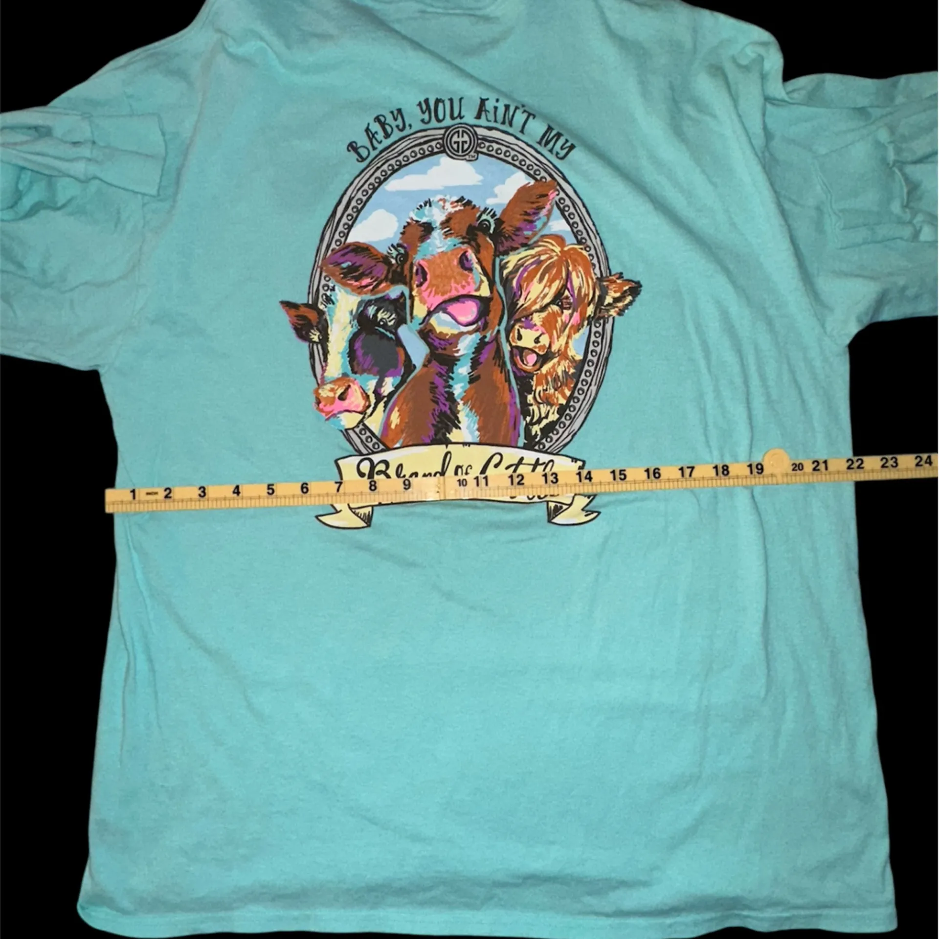 Girlie Girl Originals • “Baby You Ain’t My Brand of Cattle” • Long Sleeve Tee - Image 8