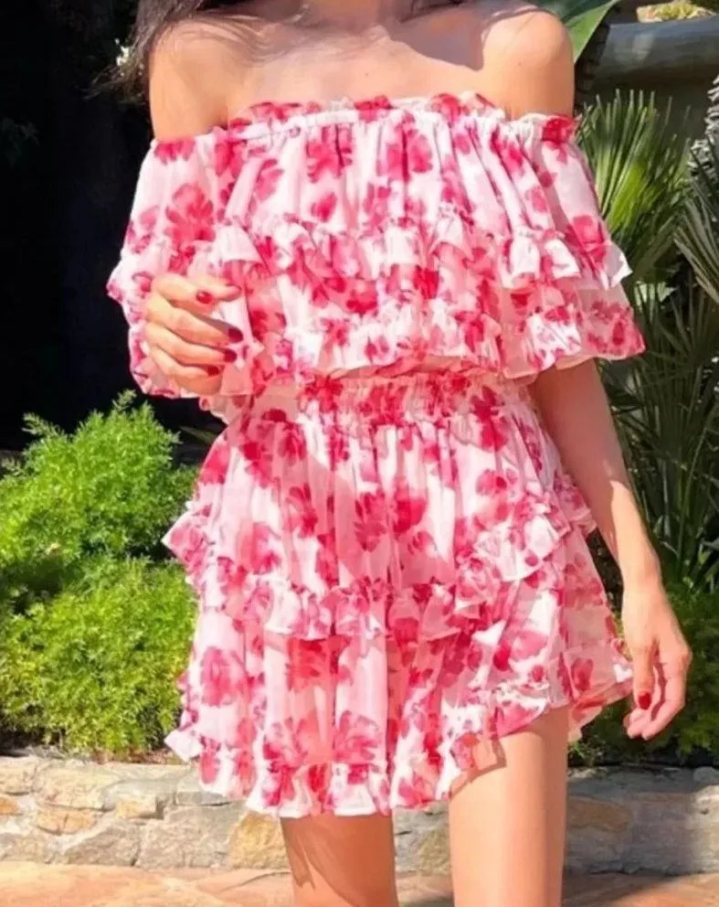 MISA LOS ANGELES Isella Floral Ruffle Georgette Mini Dress Pink White Size S NWT - Image 4