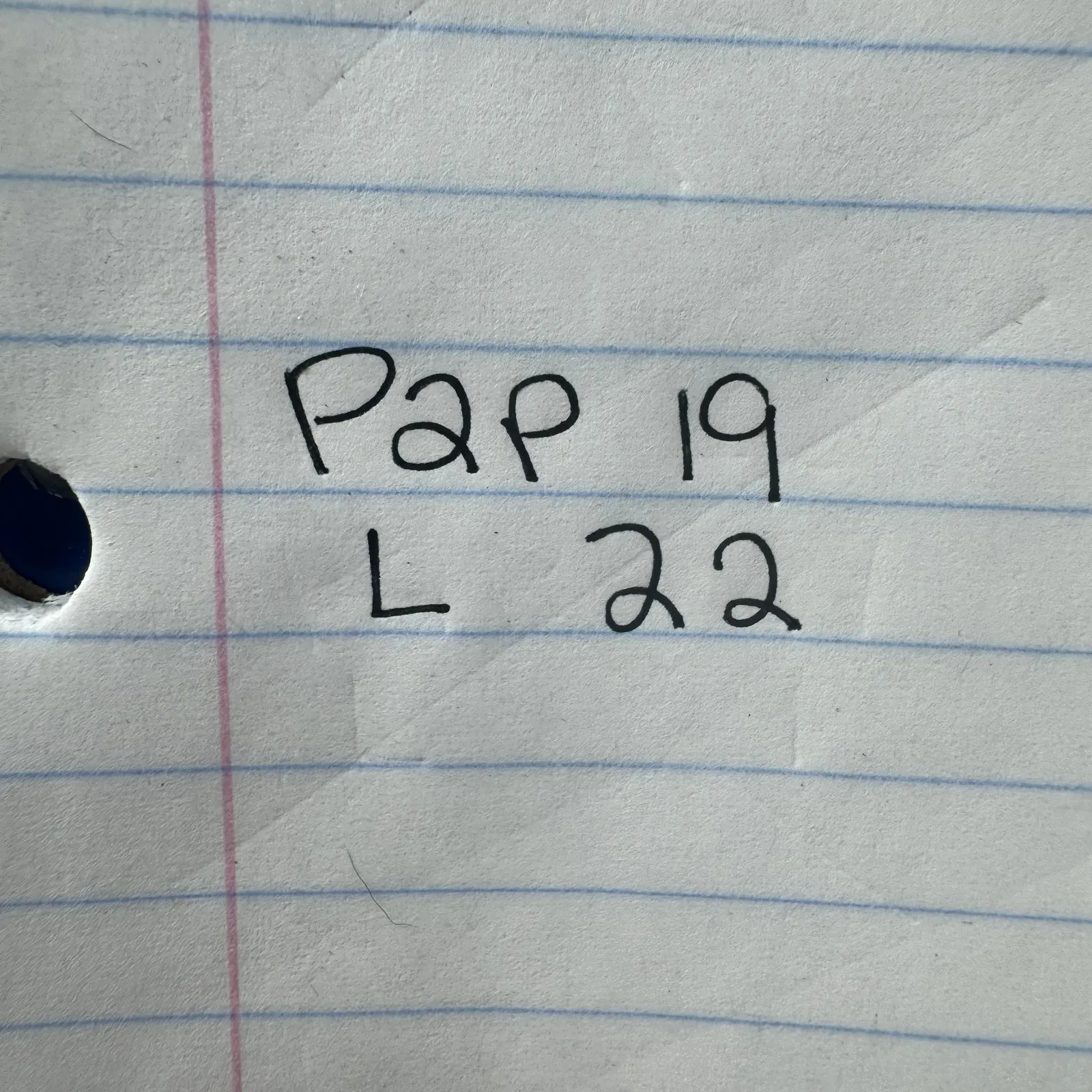 Jack B Quick Top Women S White Embroidered Starfish Beaded Detail Coastal Cotton - Image 10