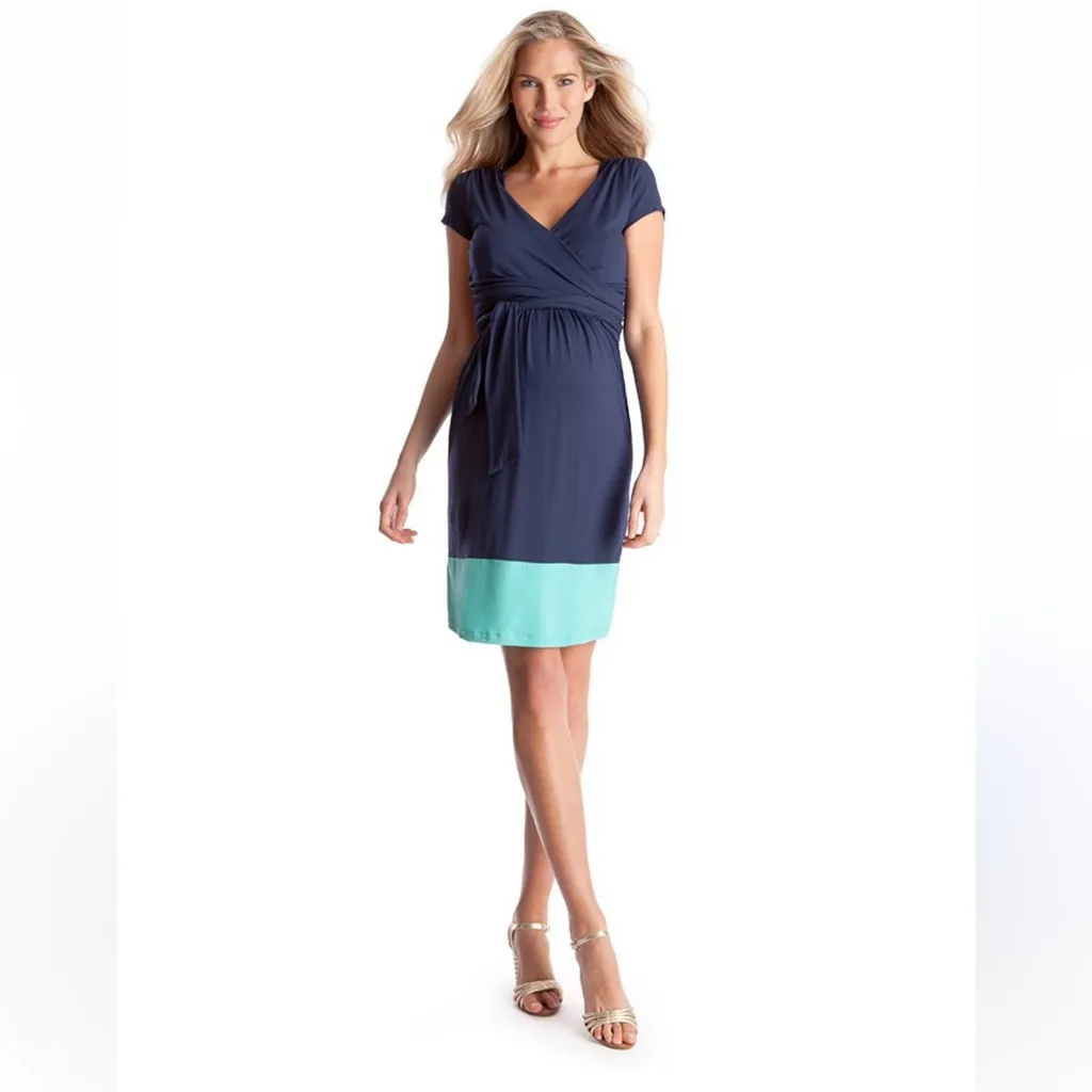 Seraphine Color Block Enja Maternity / Nursing Dress - Image 11
