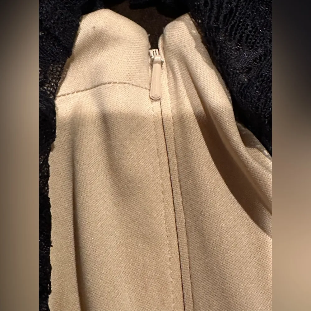 Tadashi Shoji Mermaid Delicate All Lace Gown SZ 4 Black Lace Beige Line … - Image 10