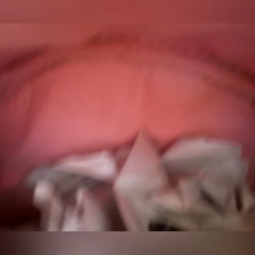 Studio Ghibli Spirited Away Haku Sakura Mini Backpack - Image 7