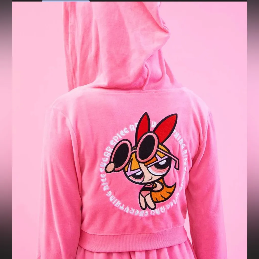 RARE SOLD OUT Dolls Kill x Powerpuff Girls Blossom Velour Hoodie Pink Y2K
L - Image 2