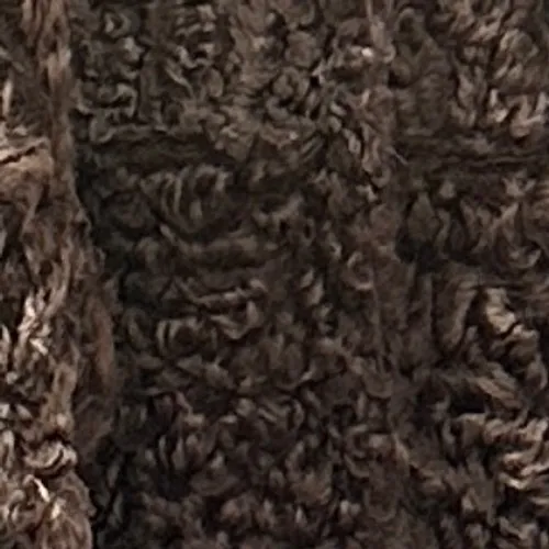 Vintage Womens L Brown 100% Curly Sheepskin Shearling‎ Hooded Penny Lane Coat Size L - Image 5