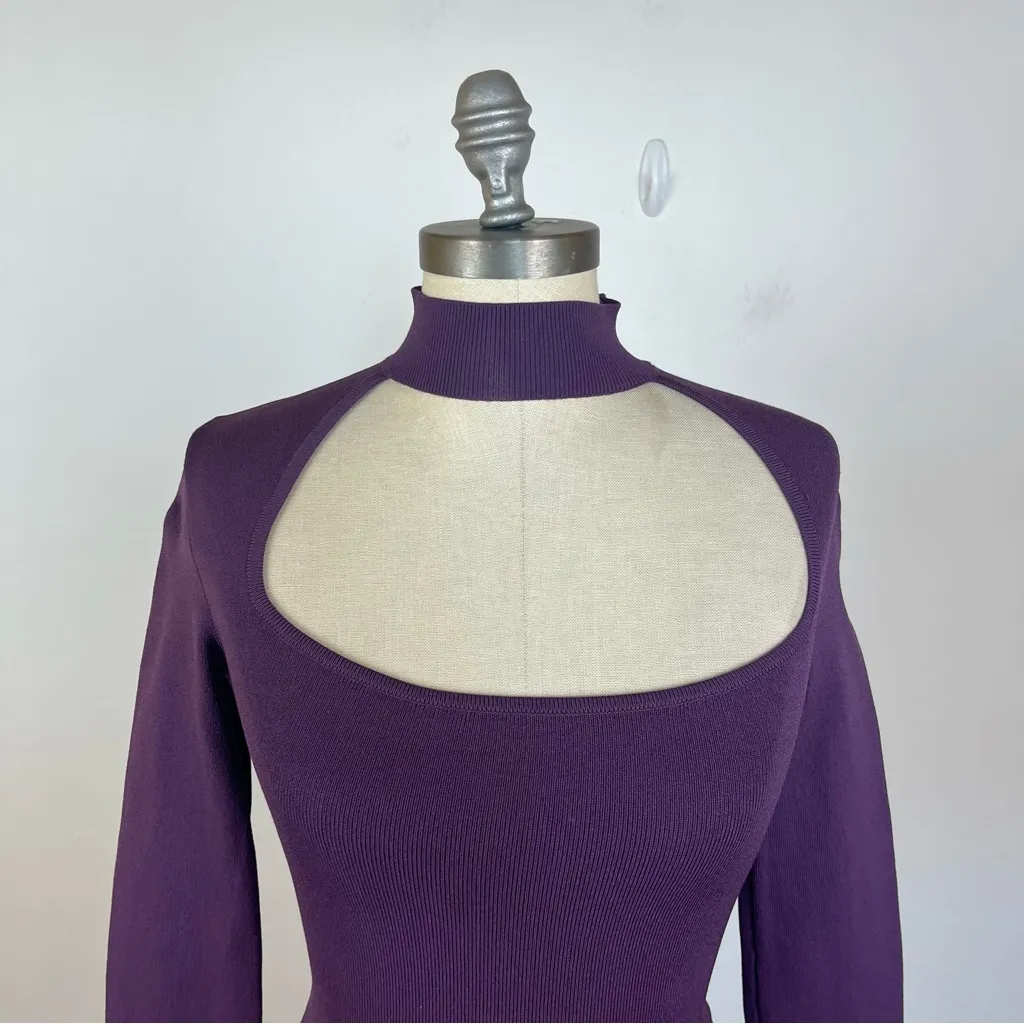 Aritzia Babaton Florine Sculpt Knit Sweater - Image 4