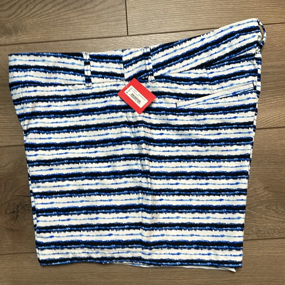 Spanx Sunshine 6" Painted Stripe High Rise Summer Swim Shorts Blue White Size 1X - Image 2