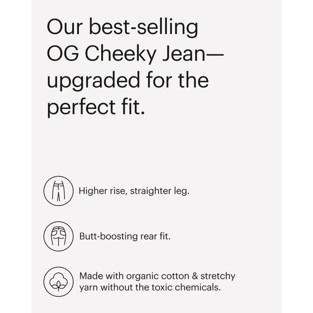 Everlane The Original Cheeky Jean in Tumbled Black 28 Crop NWT - Image 4