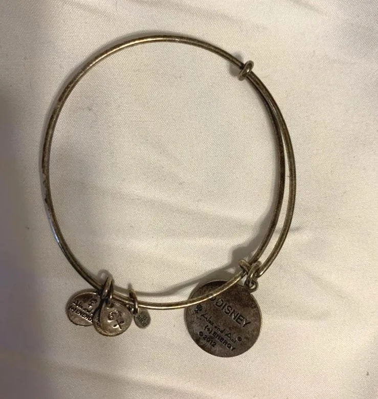 ALEX AND ANI  - Image 2