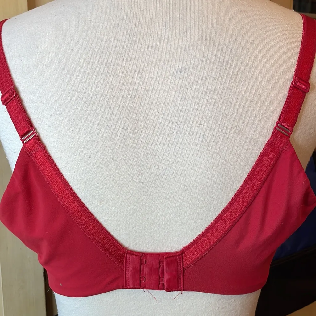 Scarlette bra 36D and Camisole - Image 4