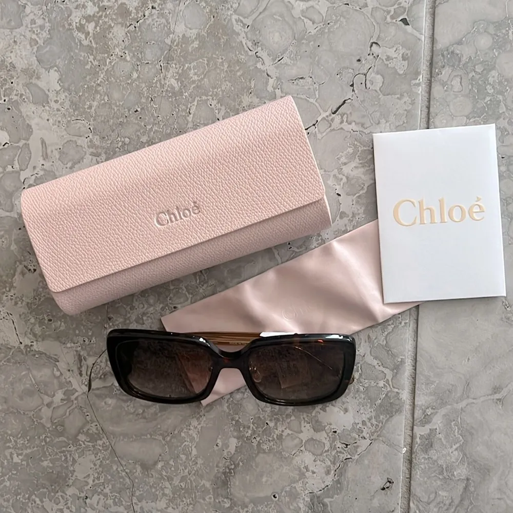 Chloe Gradient Rectangle Acetate Sunglasses, Comes with Case & Wipe, New w/Tag - Image 4
