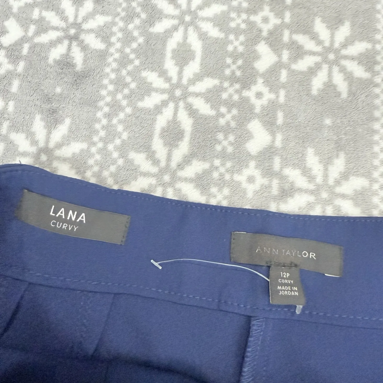 NWOT Ann Taylor Lana Curvy‎ Fit Dress Pants In Blue Size 12 Petite - Image 4