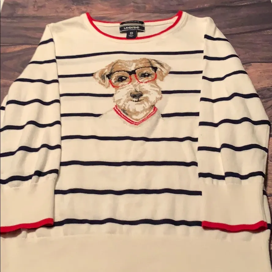Size XS Lands’ End cute dog with glasses sweater - Image 2