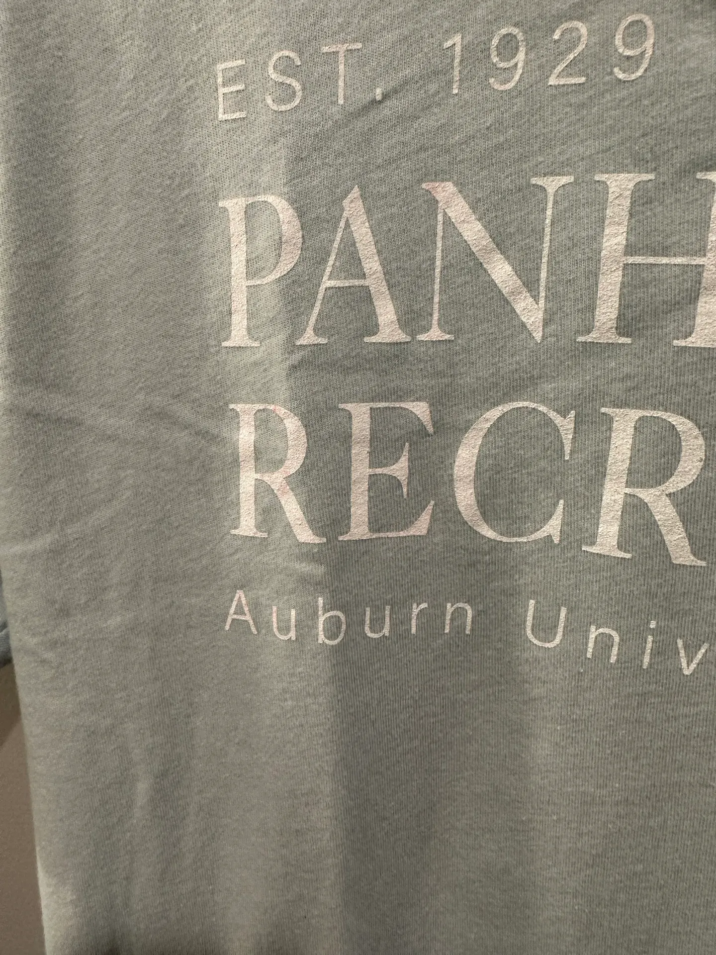 Auburn University Panhellenic Sorority Tee - Image 3