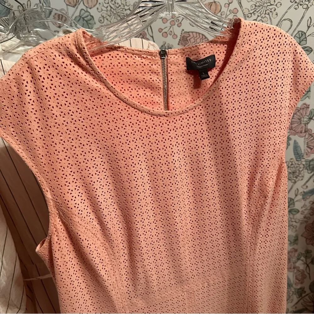 The Limited Coral Eyelet Fit & Flare Dress Size L NWT - Image 11