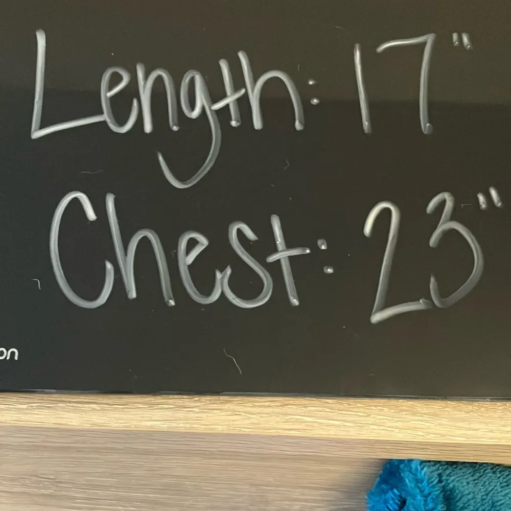 Urban Outfitters: Teal Fleece Pullover- Cropped- Boxy- S - Image 16