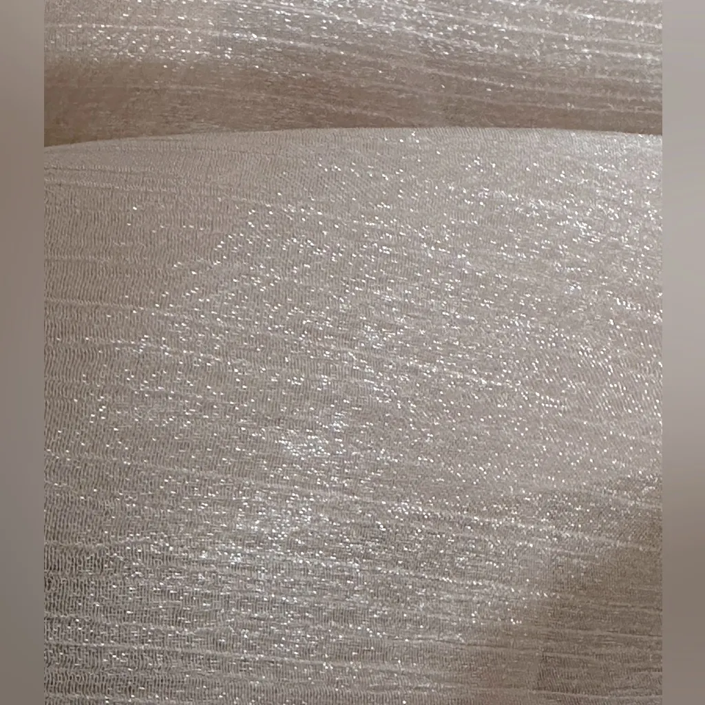 NWT - Sheer & Shimmery Top. - Image 6