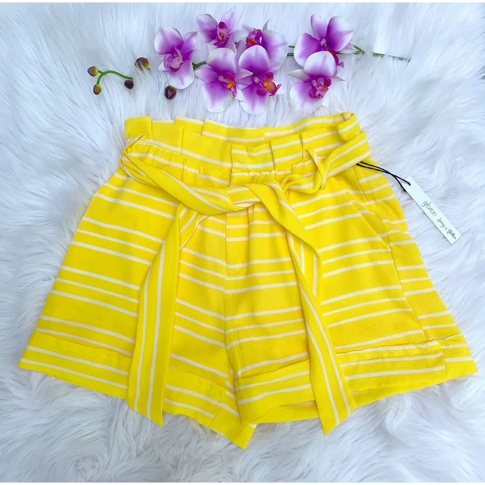 NWT Gibson x Living in Yellow Paperbag Shorts - Image 2