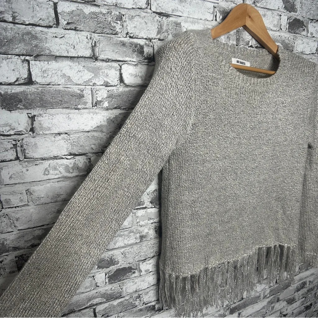 EUC BB Dakota Silver Fringe Long Sleeve Top Size Small - Image 5