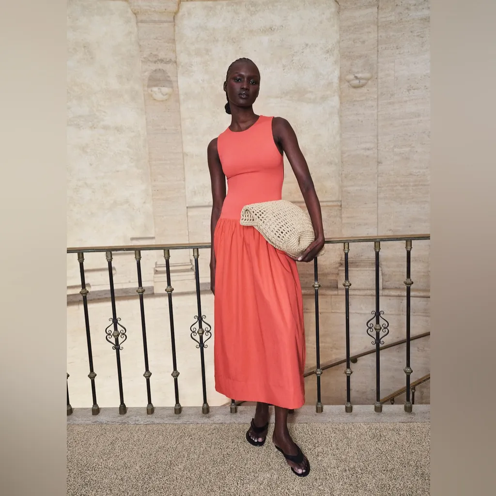 Aritzia Babaton Worldly Dress - Image 4