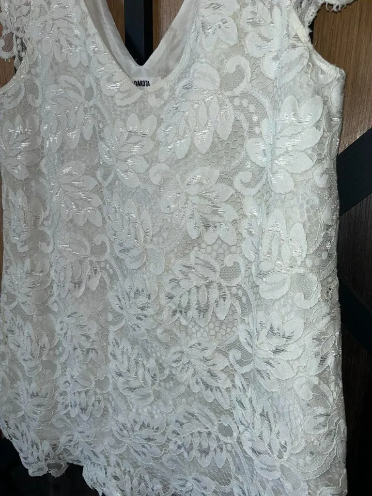 BB Dakota lace overlay dress - Image 2