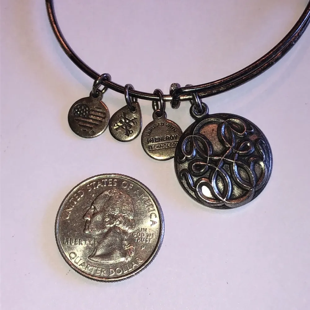 Alex And Ani 2016 Path of Life Eternity Infinity Silver Tone Bangle Bracelet - Image 4