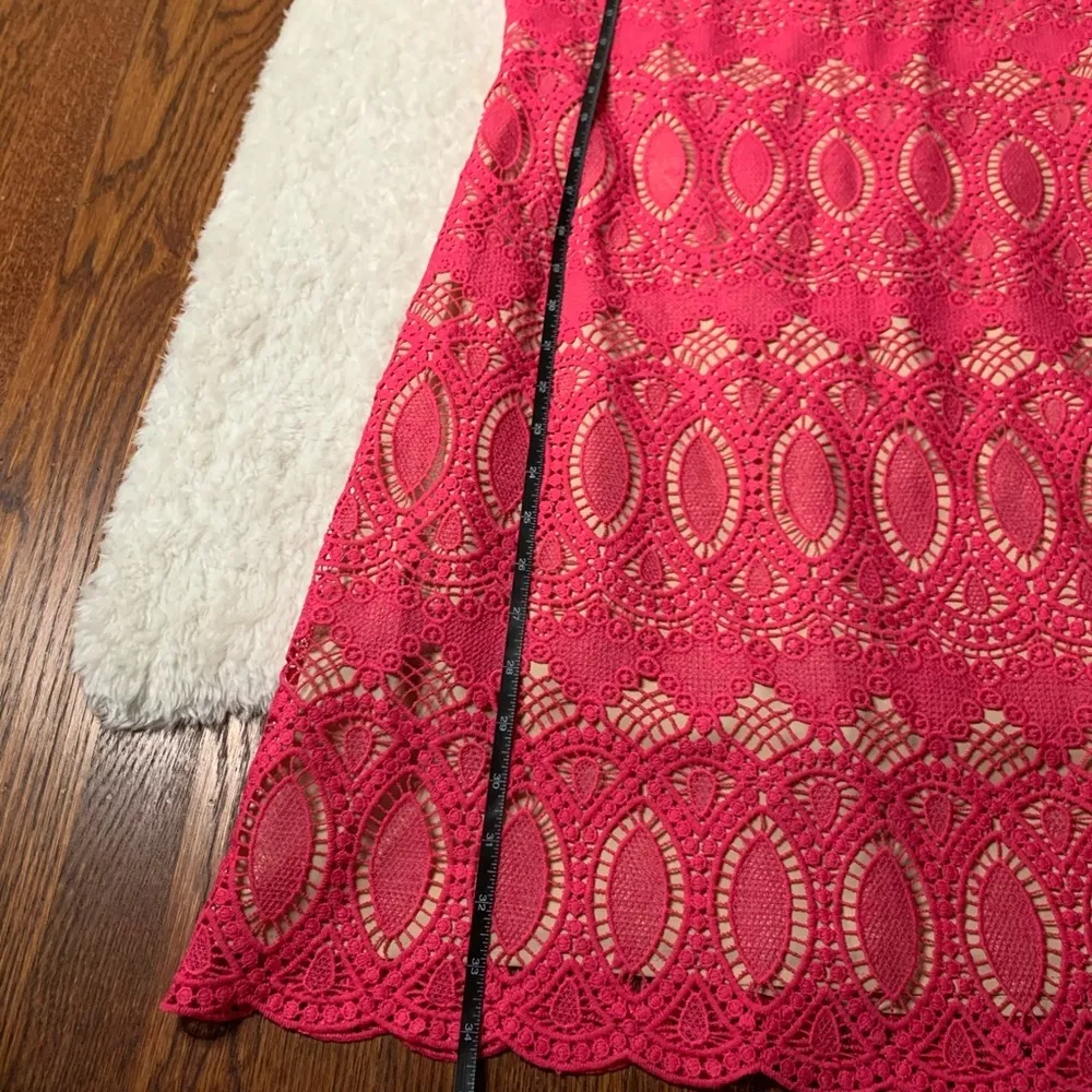 Eliza J Pink Scalloped Lace Crewneck Sheath Dress - Image 5