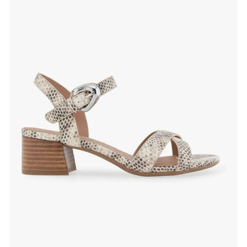 Aerosoles | Cinzia Roccia snake print neutral low heel sandals - Image 4