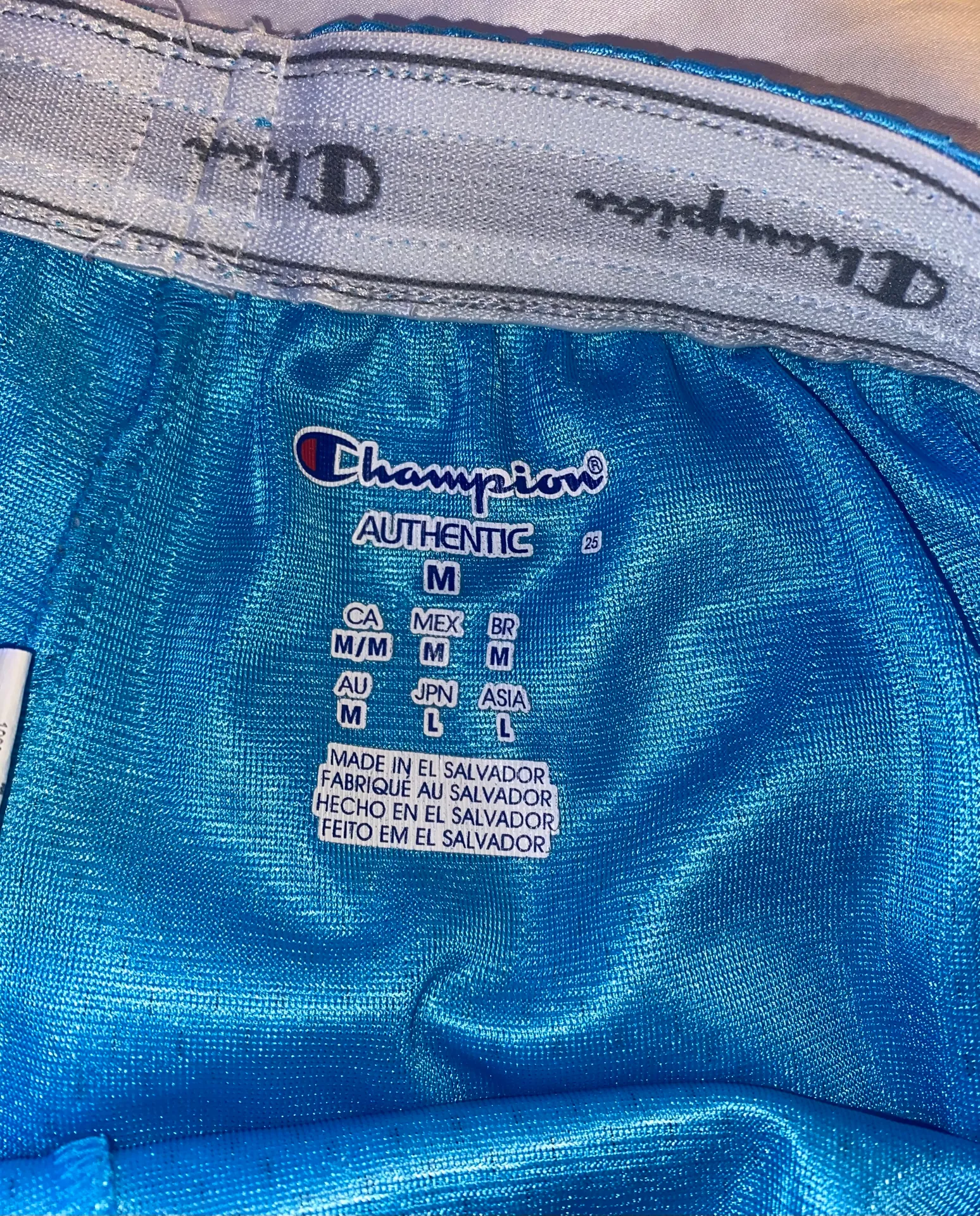 Champion Blue  Mesh Shorts - Image 3