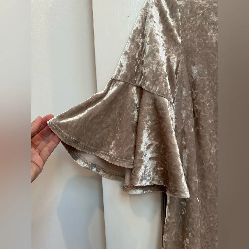 Anthropologie Sunday in Brooklyn Champagne Velvet Flutter Dress Size XS Holiday - Image 5