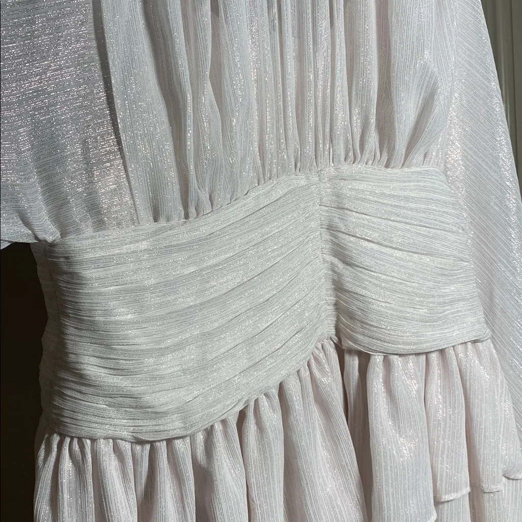 A Loves A Metallic Chiffon Feather Trim Ruched Drew’s. - Image 6