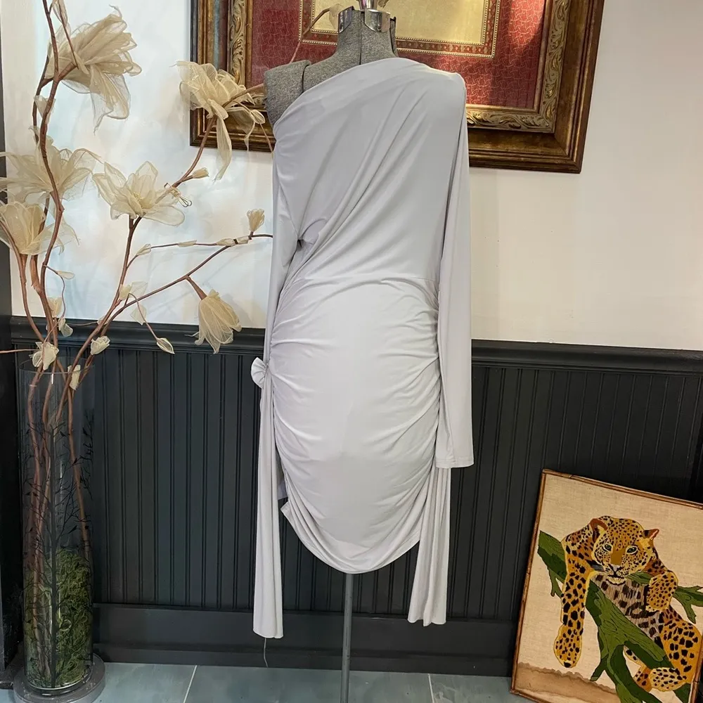 Lioness Glory Gray Long Sleeve Stretch Rose Detail Mini Dress - Sz XXL 💚🎀 - Image 7